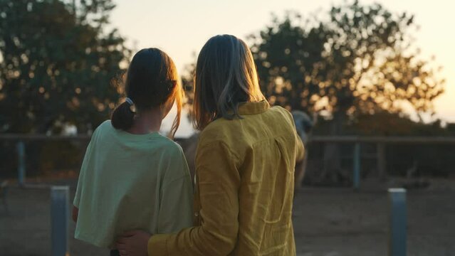 Woman and her daughter are watching camels.