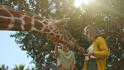 Woman and her daughter feeding giraffe in zoo.