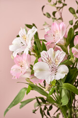 Fototapeta na wymiar delicate spring flowers on a pink background