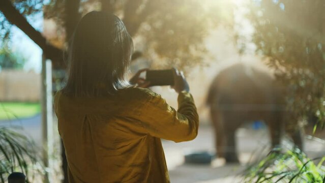 Woman photographing elephant in national zoo.