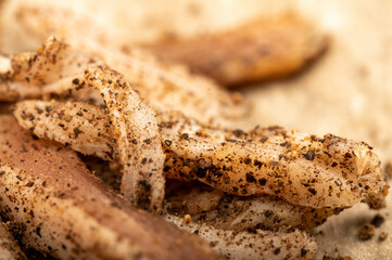 thinly sliced homemade lard with pepper on white oiled paper, close-up, selective focus.