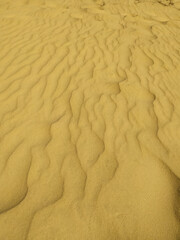 Texture. Ukrainian desert under blue sky. The sand dunes and road in the desert, Oleshky Sands nature park, Oleshkivski pisky, Kherson oblast, Ukraine