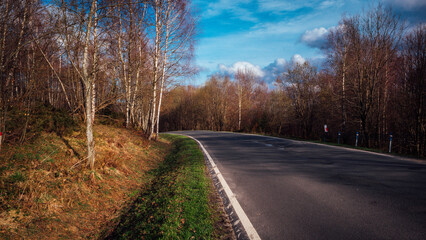 Landscape with empty road