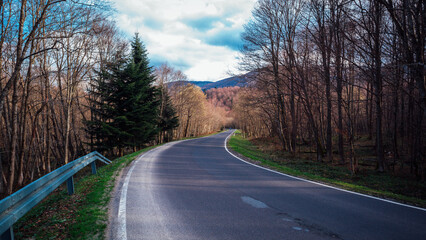 Landscape with empty road