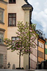 Stockholm