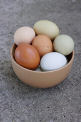 different colored farm organic eggs in a bowl on the grey background