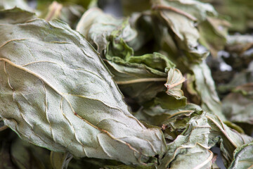 Dry mint leaves. Prepared for aromatic and curative tea.