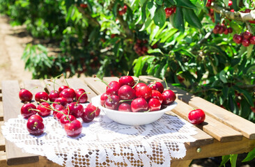 cherries in a basket on the table for food