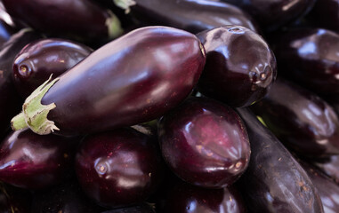 Fresh eggplant on market counter