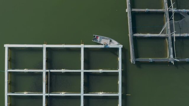 Local fisherman docking boat on square floating fish farm frame, top down