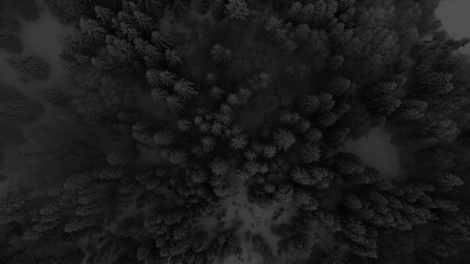 black and white clouds