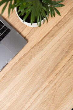 part of a desktop with a laptop and a houseplant on an oak wooden background close-up. diagonal composition. Workspace on an oak table. top view. Flatley. Vertical
