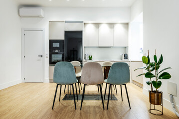 Open kitchen in the dining room of an apartment with a glass dining table, velvet upholstered chairs and a pretty plant in the corner