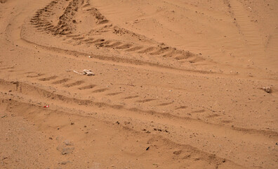 Thar desert of India, Jaisalmer Rajasthan, with beautiful sand dunes