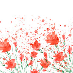 Watercolor painting. A bouquet of flowers of red poppies, wildflowers on  isolated background. Hand drawn watercolor floral illustration, logo. Abstract splash of watercolor paint. Banner