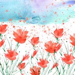 watercolor painting. A bouquet of flowers of red poppies, wildflowers on a white isolated background. Hand drawn watercolor floral illustration, logo. Green grass,blue sky, hill, abstract paint splash