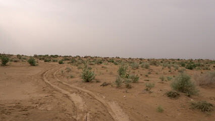 Thar desert of India, Jaisalmer Rajasthan, with beautiful sand dunes