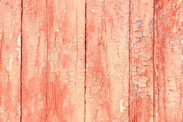 Texture, wood, wall, it can be used as a background. Wooden texture with scratches and cracks