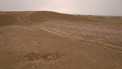 Thar desert of India, Jaisalmer Rajasthan, with beautiful sand dunes