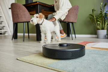 Close up of robot vacuum cleaner in smart home with pet dog in background, copy space