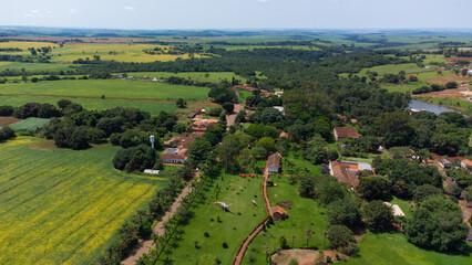 Naklejka premium Dinossauros, Parque dos dinossauros