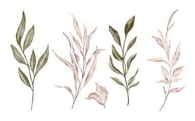 set of green and beige branches