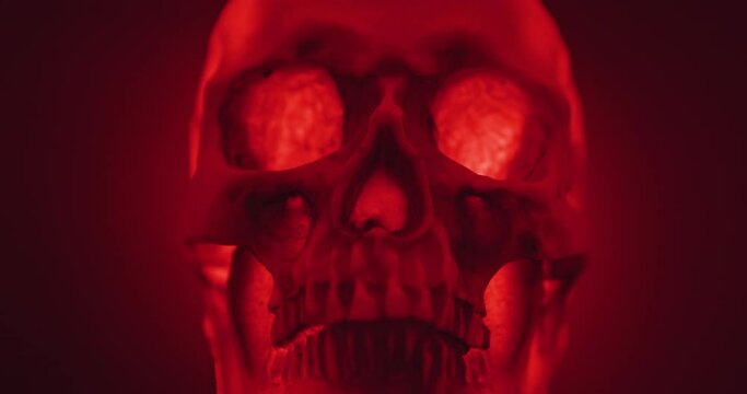 Skull with colored lighting loop closeup with particles