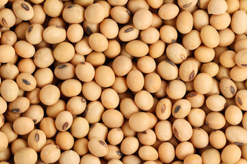 Soybean seeds used for background