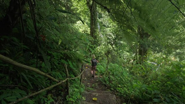 Female backpacker hike on remote dirt trail through lush green jungle