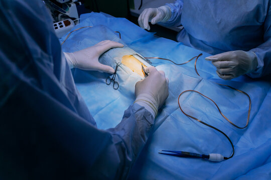 Veterinary surgeons make surgery for dog in the operating room of a veterinary clinic. Medicine, pet, animals, health care and people concept.