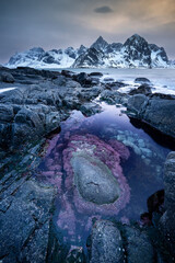 Paysage d& 39 hiver des montagnes et du littoral - îles Lofoten de Norvège