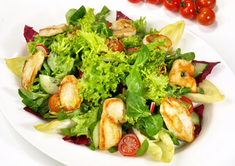 Mixed Salad with grilled Chicken Breast isolated on white Background