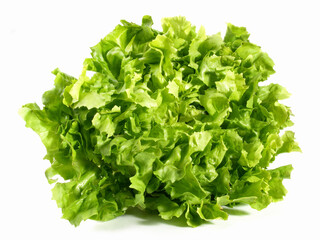 Endive Salad on White - Isolated on white Background