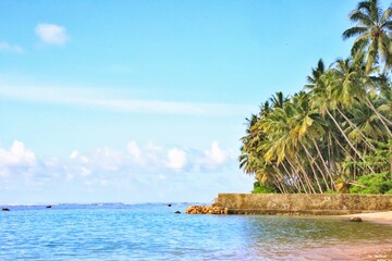 Beach and tropical island with palm trees