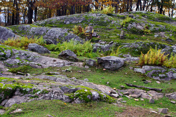 rocky mossy covered hill landscape