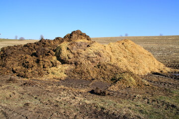 Misthaufen lagert im Allgäu auf einer Wiese