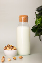 Plant-based milk choice with a bottle of pistachio milk and a side of its source, the fresh nuts.