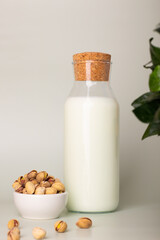 Modern health trend represented by a bottle of pistachio milk surrounded by fresh pistachios and a green plant.