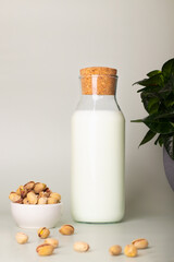 Dairy substitute concept with a bottle of pistachio milk and a serving of raw nuts beside.