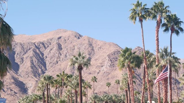 Row of palm trees and mountain or hill, sunny Palm Springs vacations resort near Los Angeles, Old Las Palmas, California valley nature, USA. Arid dry climate plants, desert oasis flora. American flag.