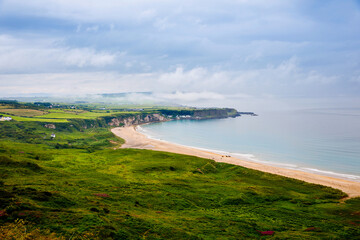 Rugged landscape in County Antrim, Ireland. Beach with cliffs, green rocky land with sheep on foggy cloudy day. Wild Atlantic Way region.