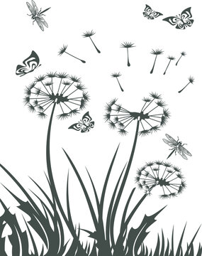 dandelions with grass, butterflies, dragonfly