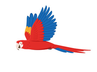Vector macaw parrot