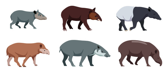 Set of different types of tapirs in cartoon style. Vector illustration of herbivores isolated on white background.
