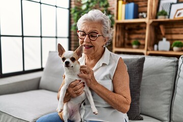 Senior grey-haired woman smiling confident holding chiuahua sitting on sofa at home
