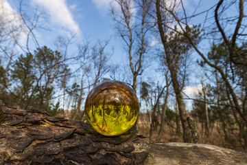 Fototapete bei efototapeten.de bestellen   