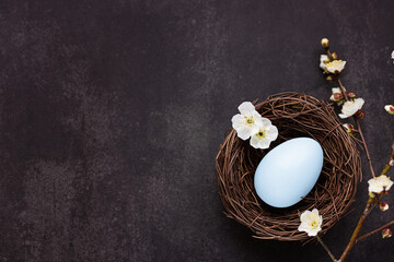 Fototapeta na wymiar Stylish background with colorful easter eggs isolated on dark concrete background with blooming branches of sakura flowers. Flat lay, top view, mockup, overhead, template. 