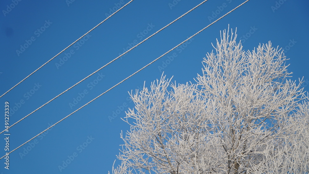 Wall mural blue sky and snow