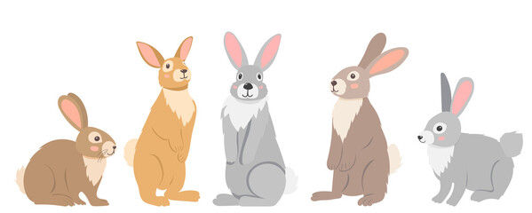 rabbits, hares character flat design, cartoon, isolated vector