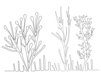 algae drawing in one continuous line, isolated vector